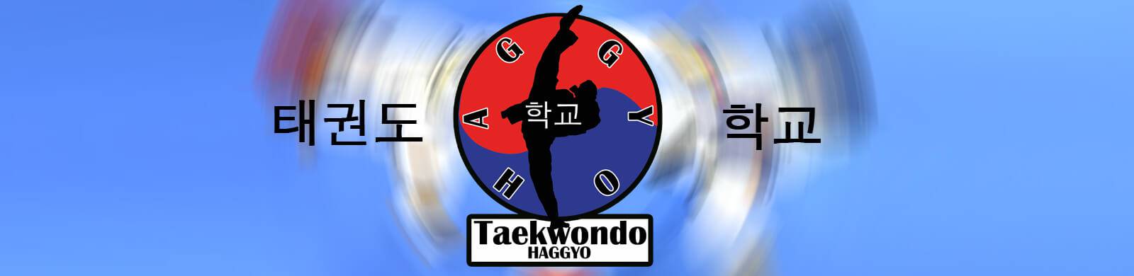Taekwondo Regensburg Logo